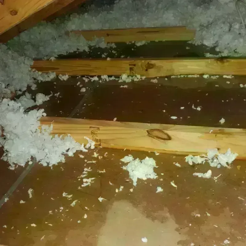 Attic Water Damage in Calhoun, GA