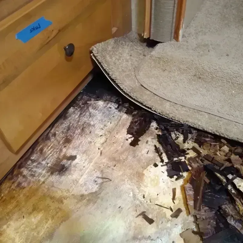 Wood Floor Water Damage in Calhoun, GA